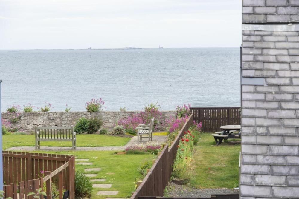 Puffin View Lägenhet Seahouses Exteriör bild